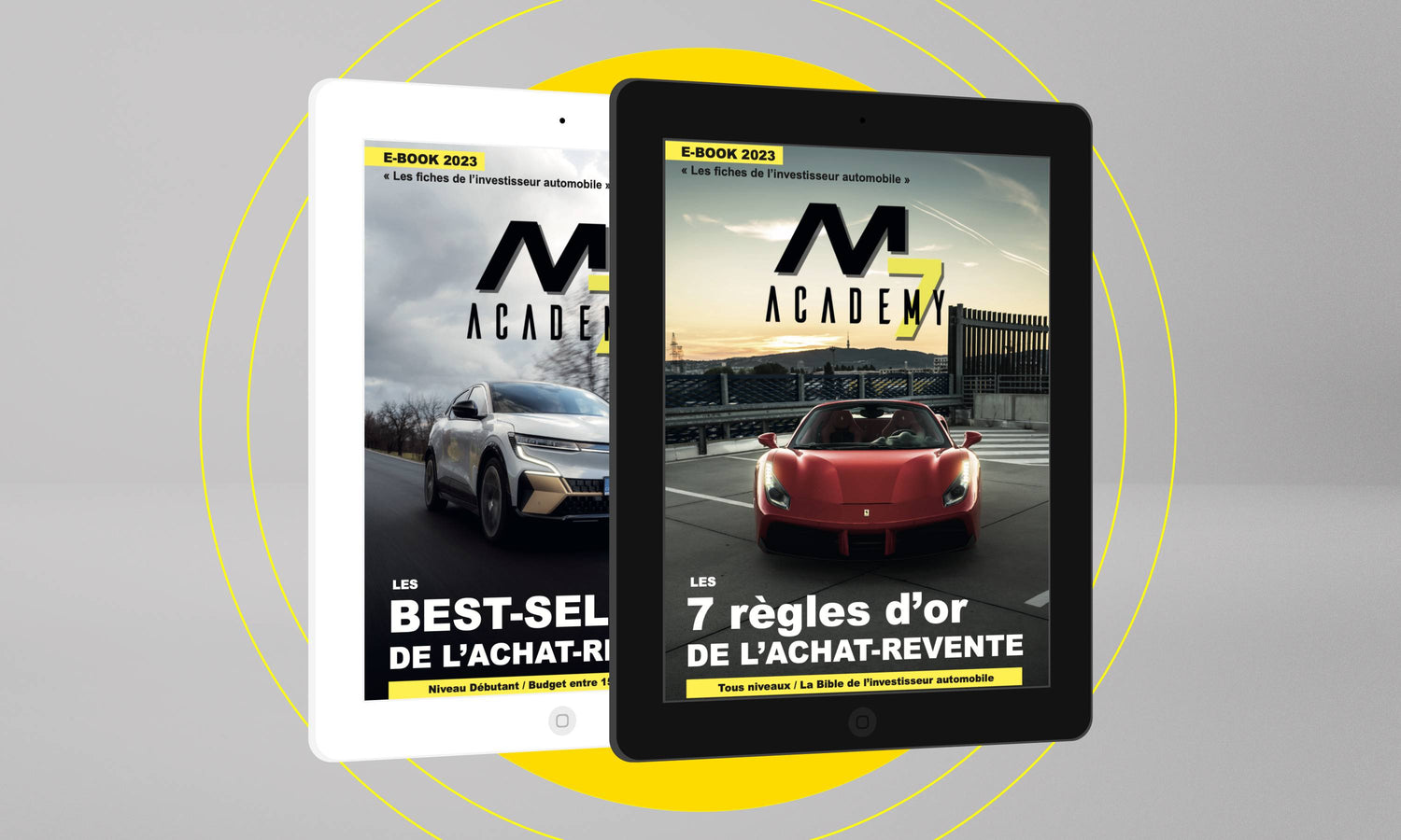 Formations EBOOK en achat revente automobile pour particulier